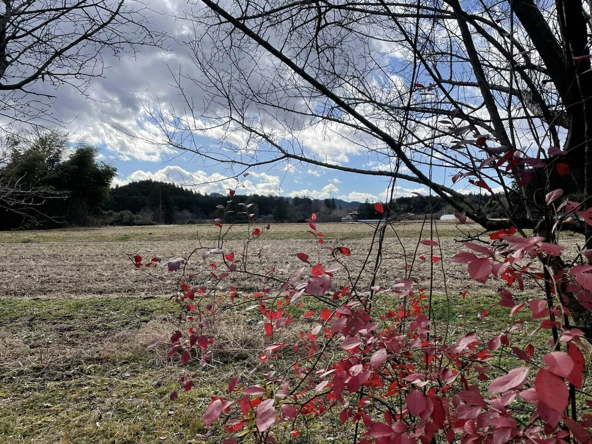 画像163