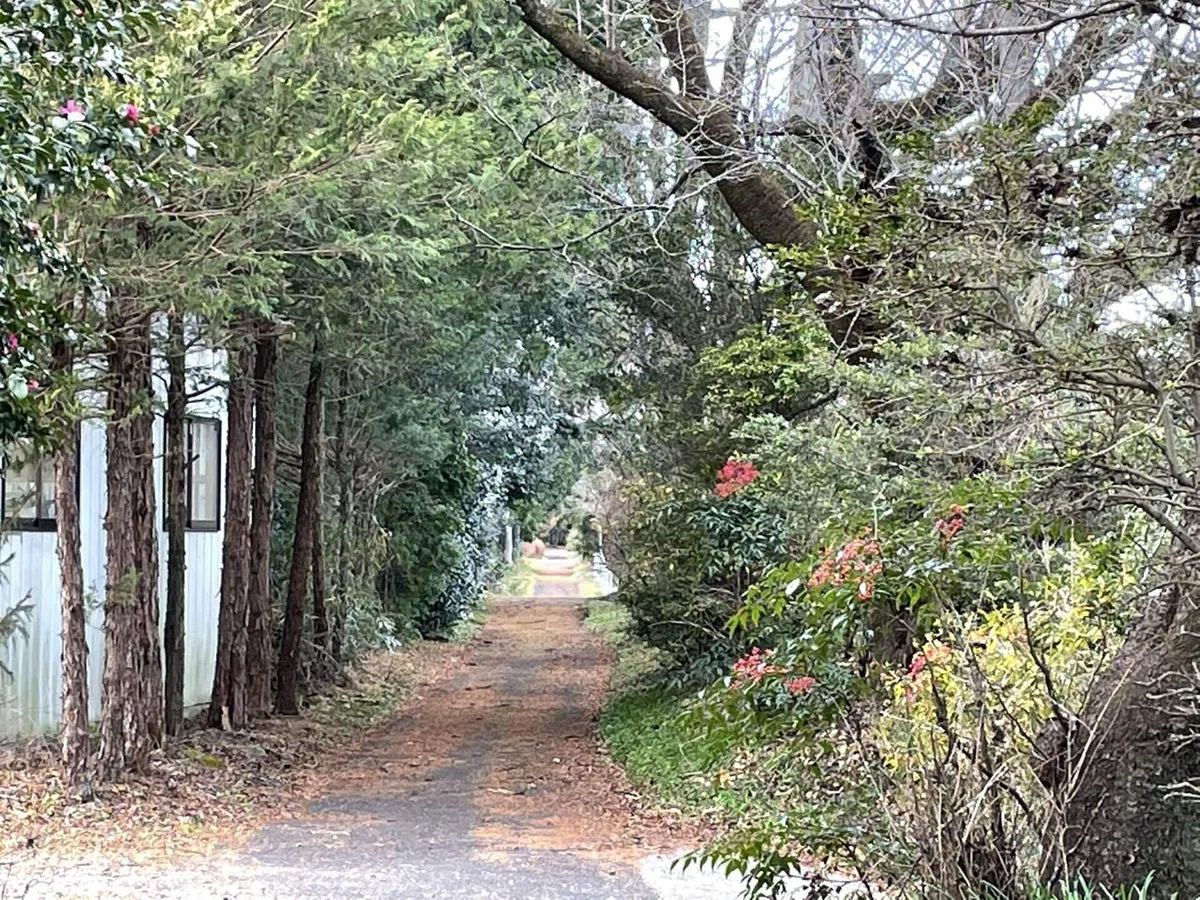 画像165