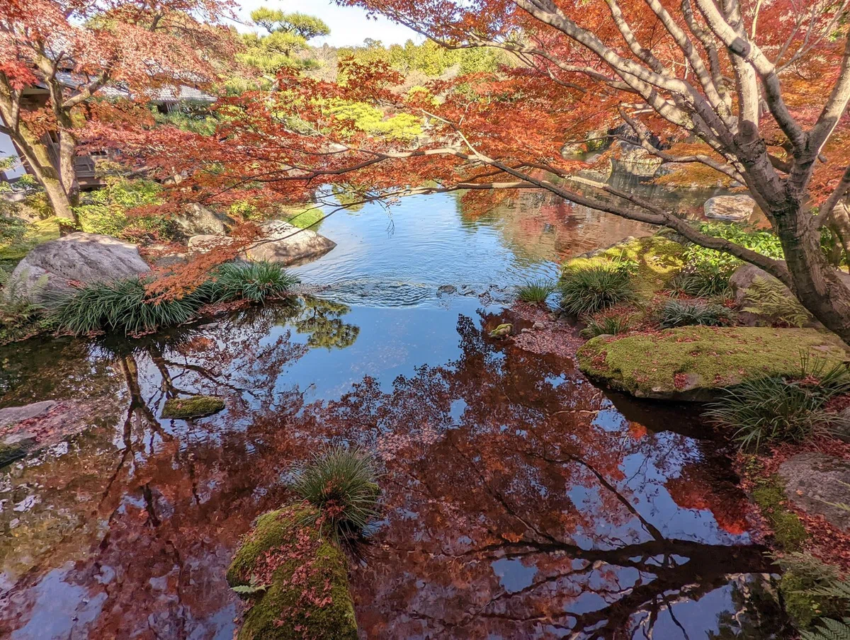 画像8