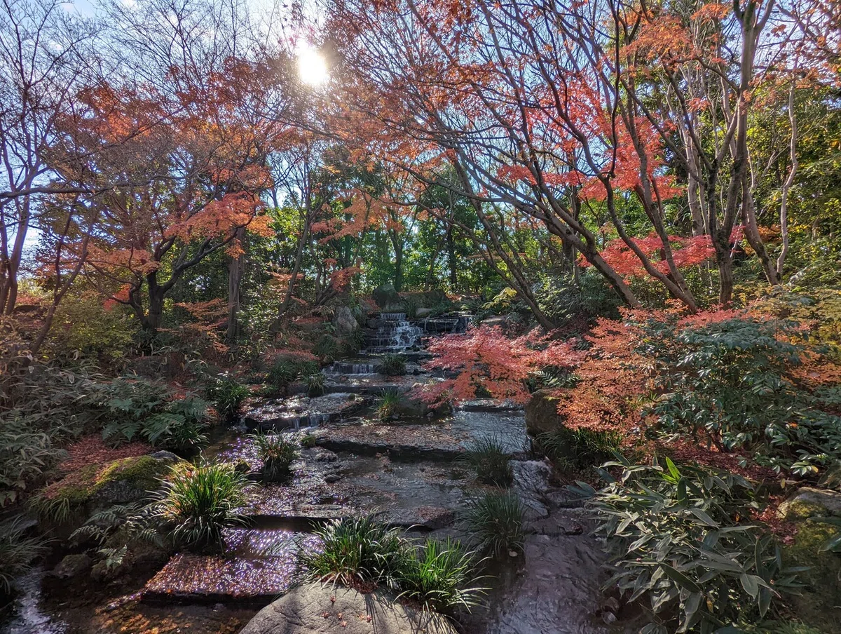画像9