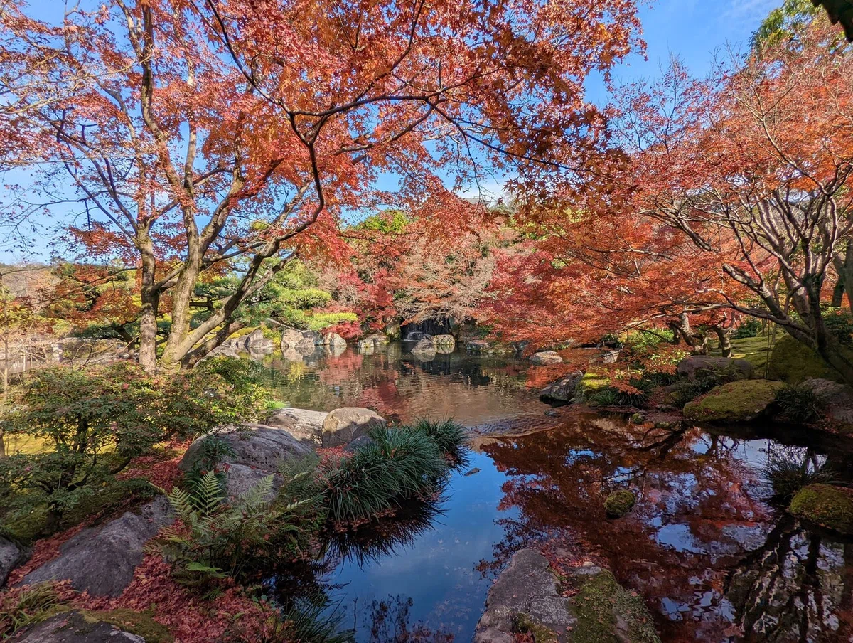 画像10