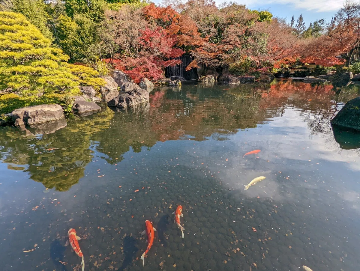 画像11