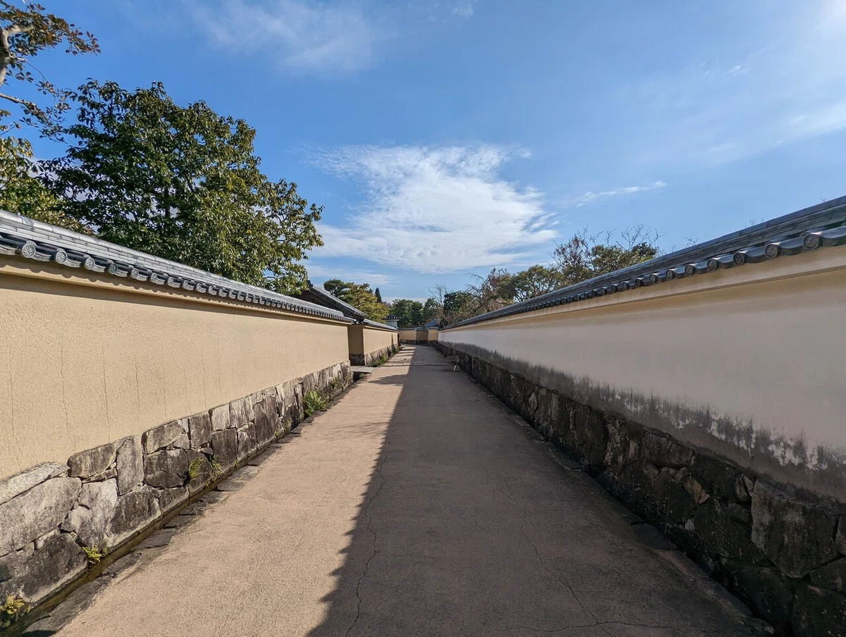 画像14