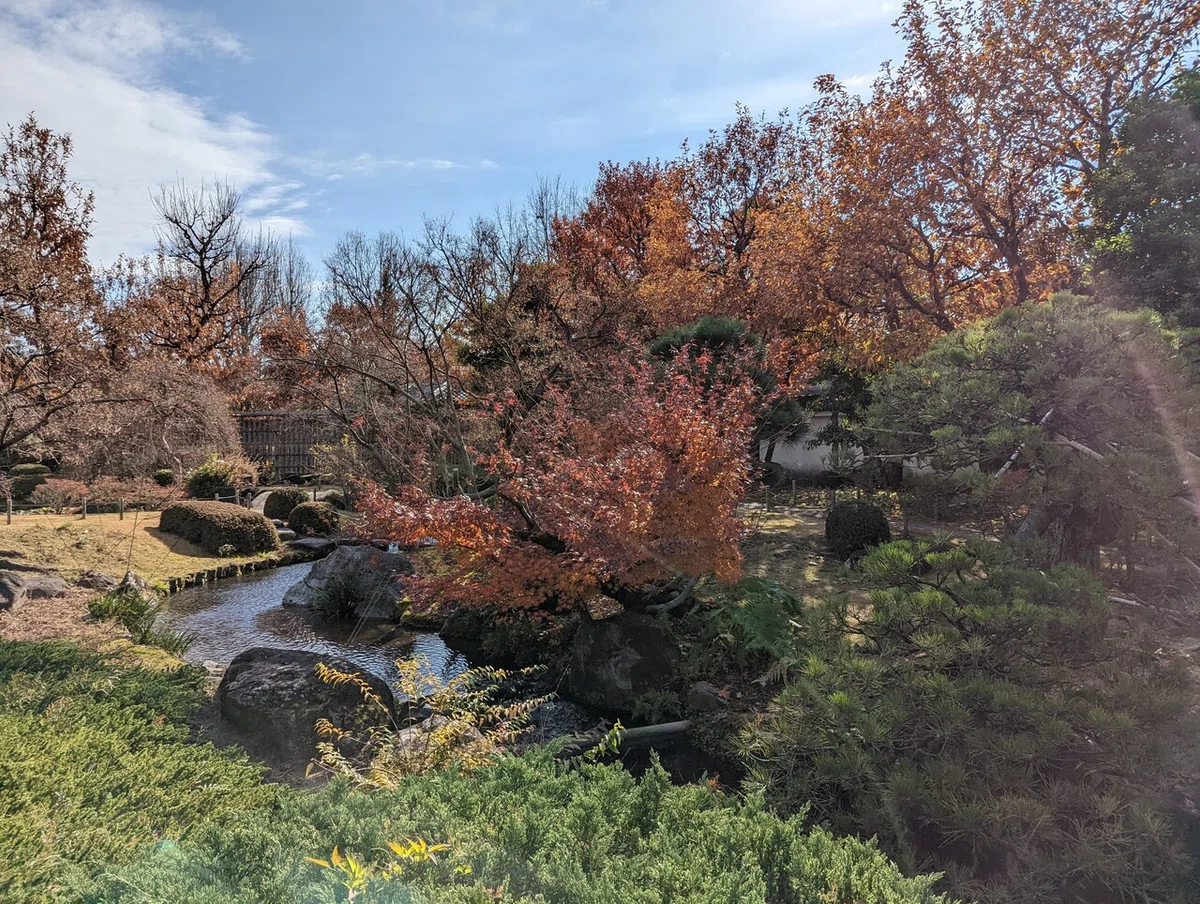画像15