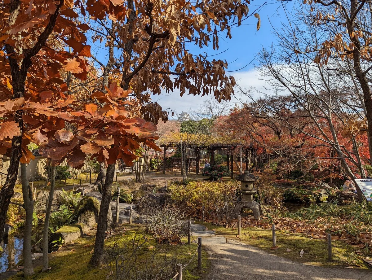 画像16