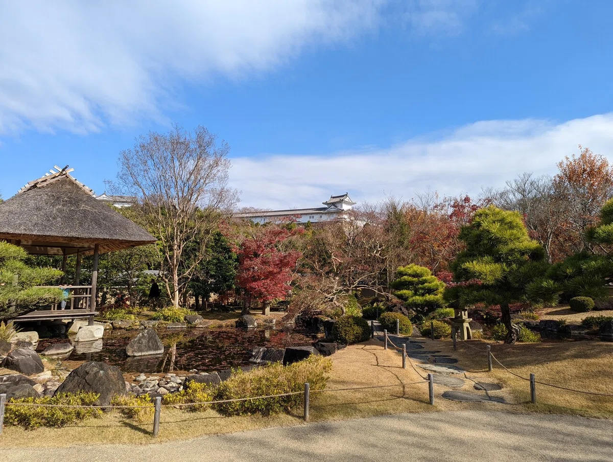 画像17