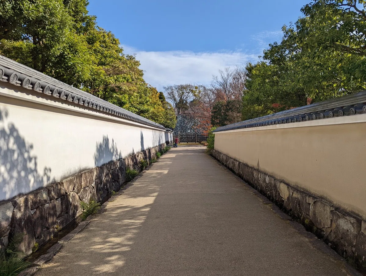 画像18
