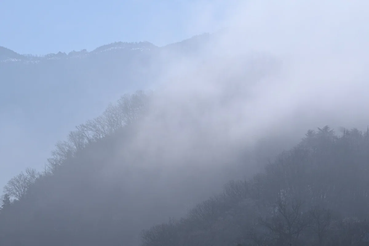画像14