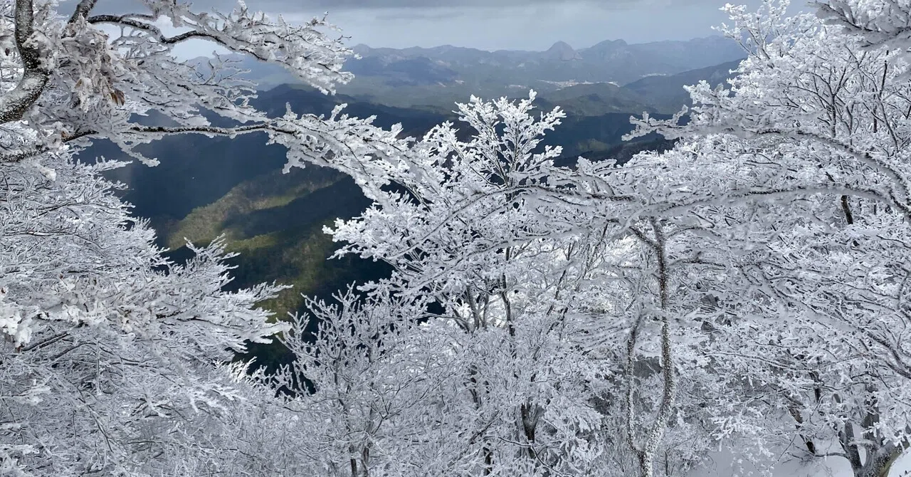 樹氷マッターホルン 高見山｜mountain go
