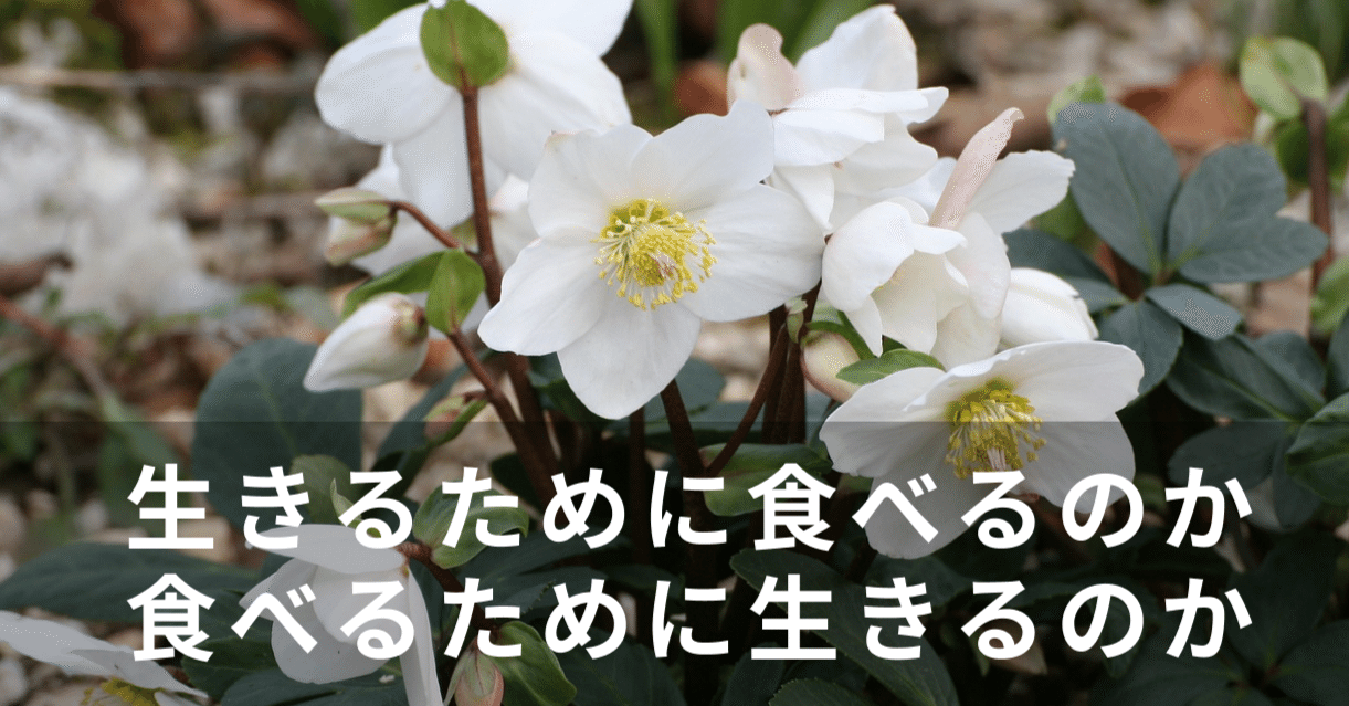 生きるために食べるのか 食べるために生きるのか 管理栄養士 小松美佐子 Note