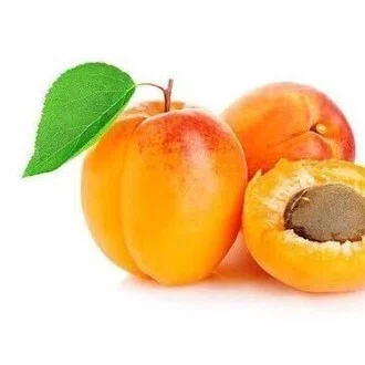 Apricot｜note