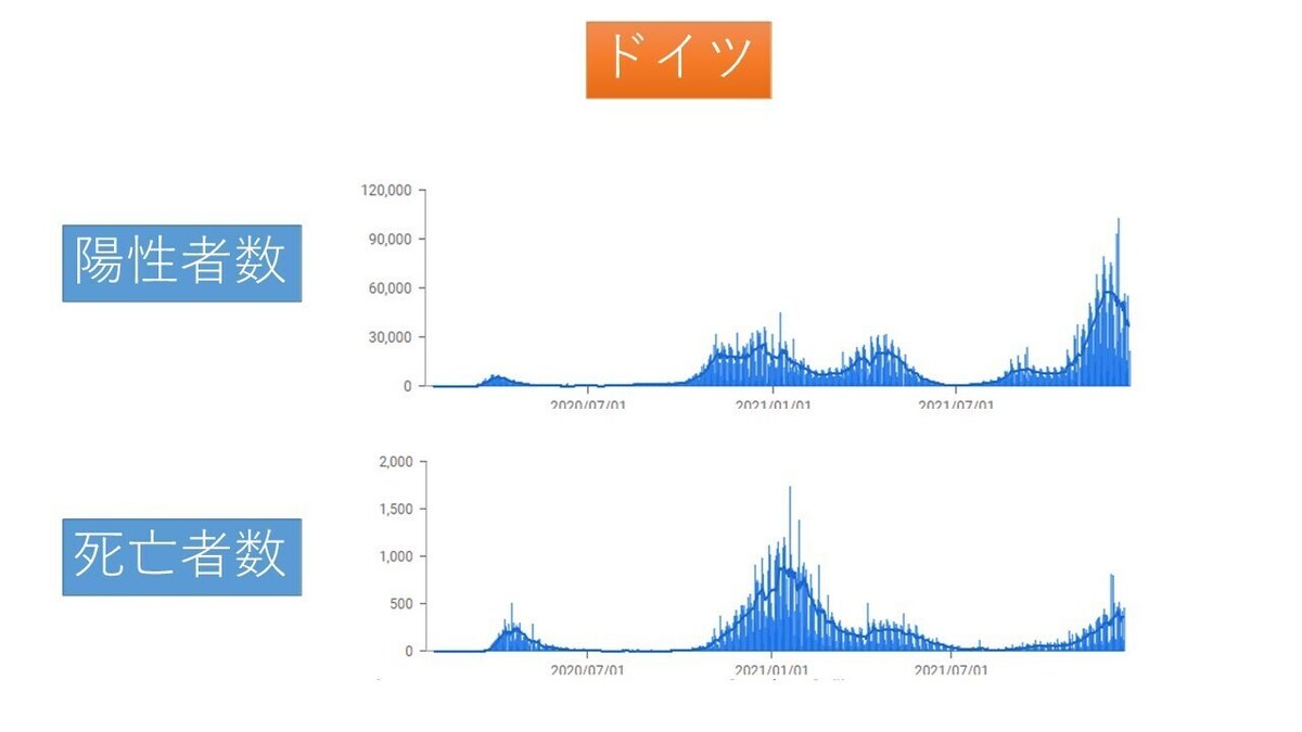 東京にゃ～そく通信（12月21日）その3