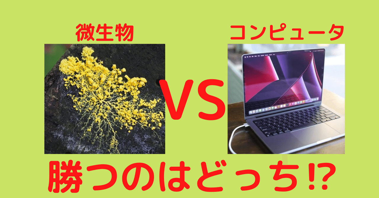 生物がコンピューターを凌駕する！？【粘菌コンピューター】