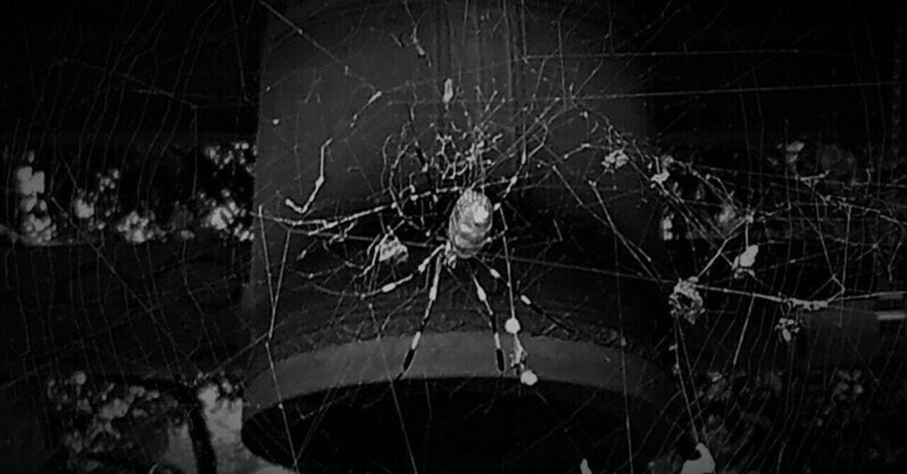 飽食した蜘蛛と法悦 ヨクト Note 飽食した蜘蛛と法悦 ヨクト Note