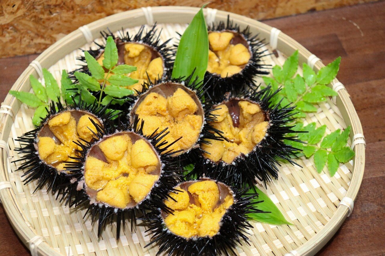 北海道の名産物を英語で言ってみよう Sho Note 北海道の名産物を英語で言ってみよう Sho Note