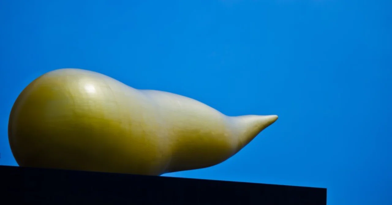 The Despair When You Were Sure It Was a Fart but It Was Actually Poop｜岩田夢雲