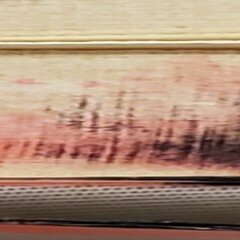 事割れ 〜猫田道子「うわさのベーコン」を読んで〜｜りゅ