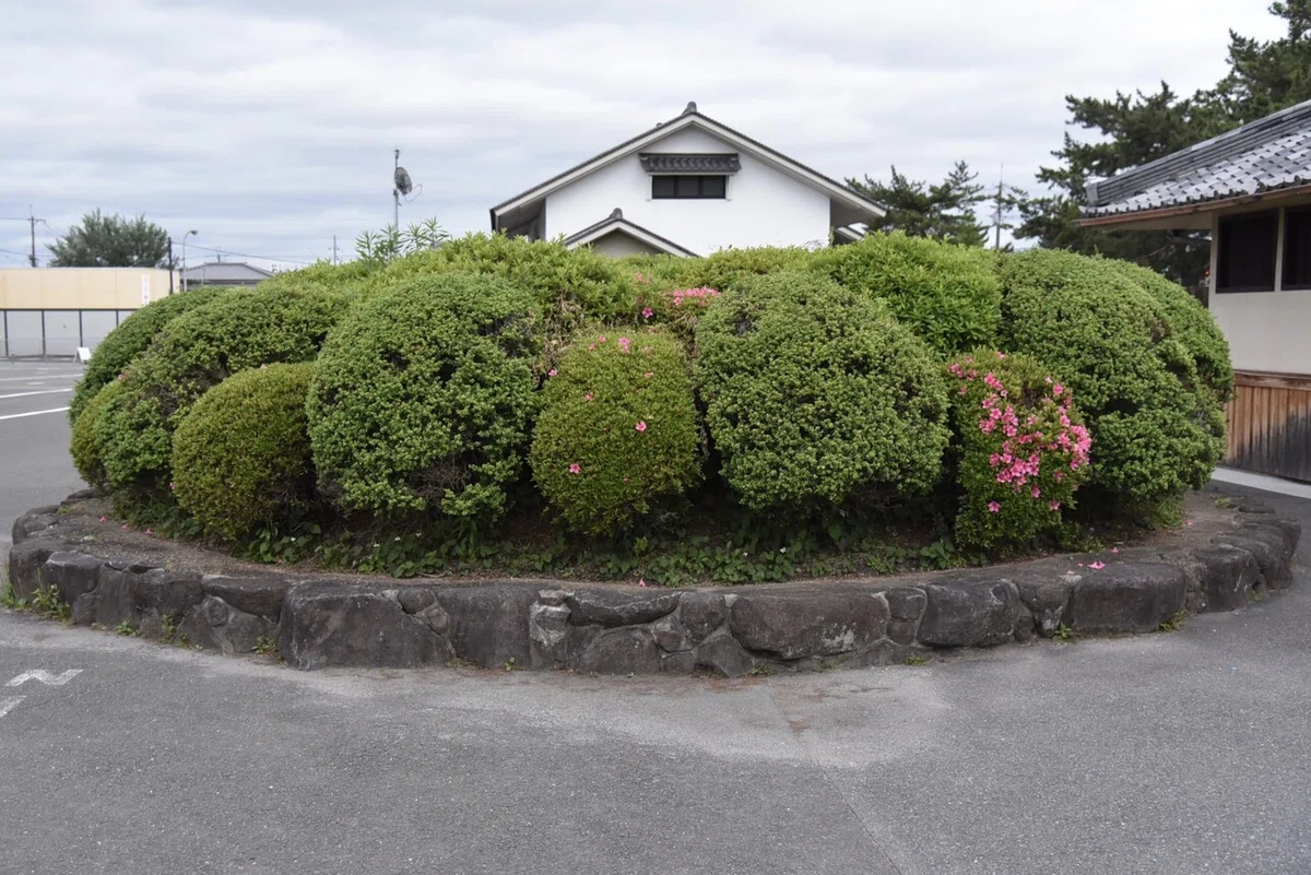 画像7