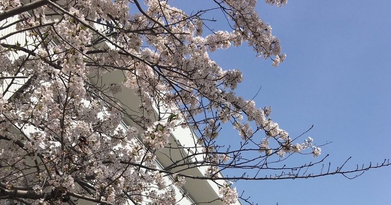 Aspac Workshop In 北海道芸術デザイン専門学校 Aspac広報 Note