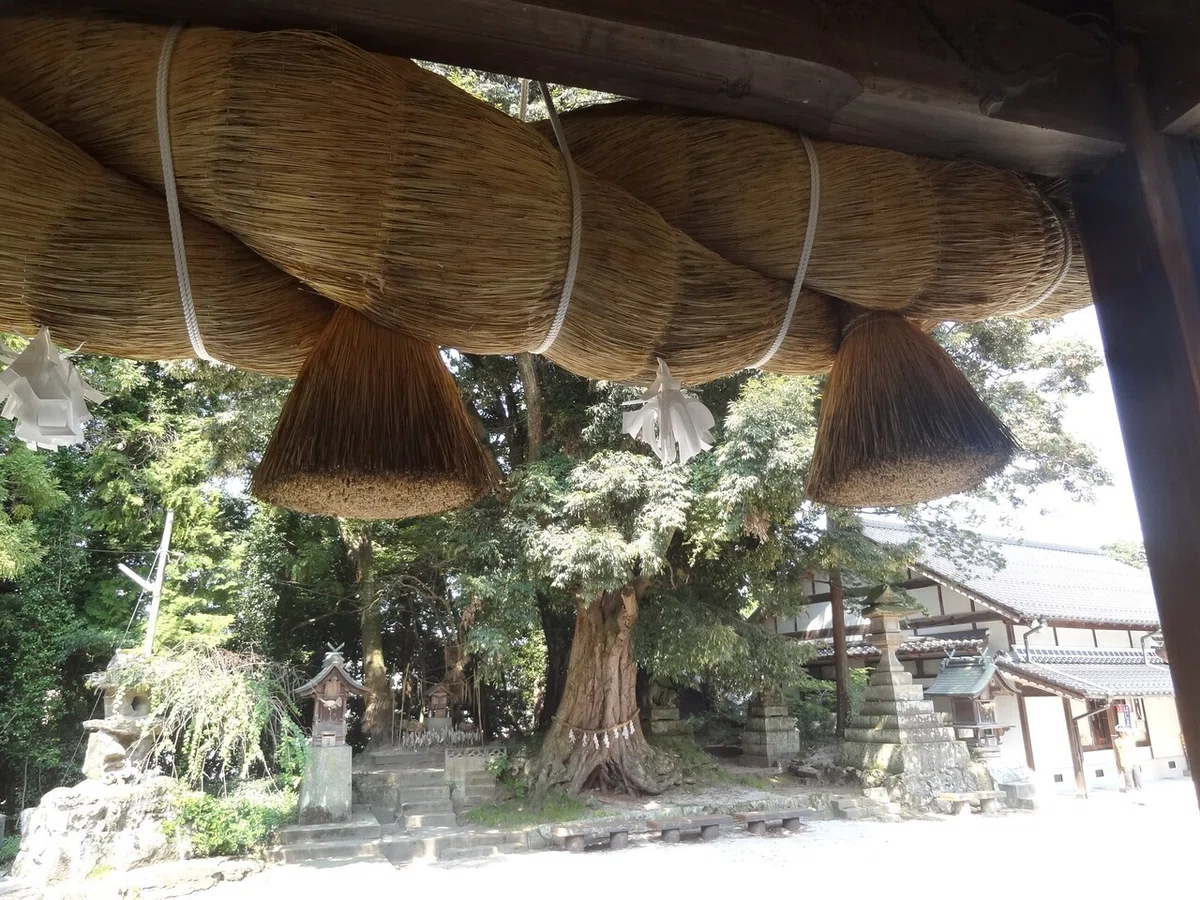 画像4