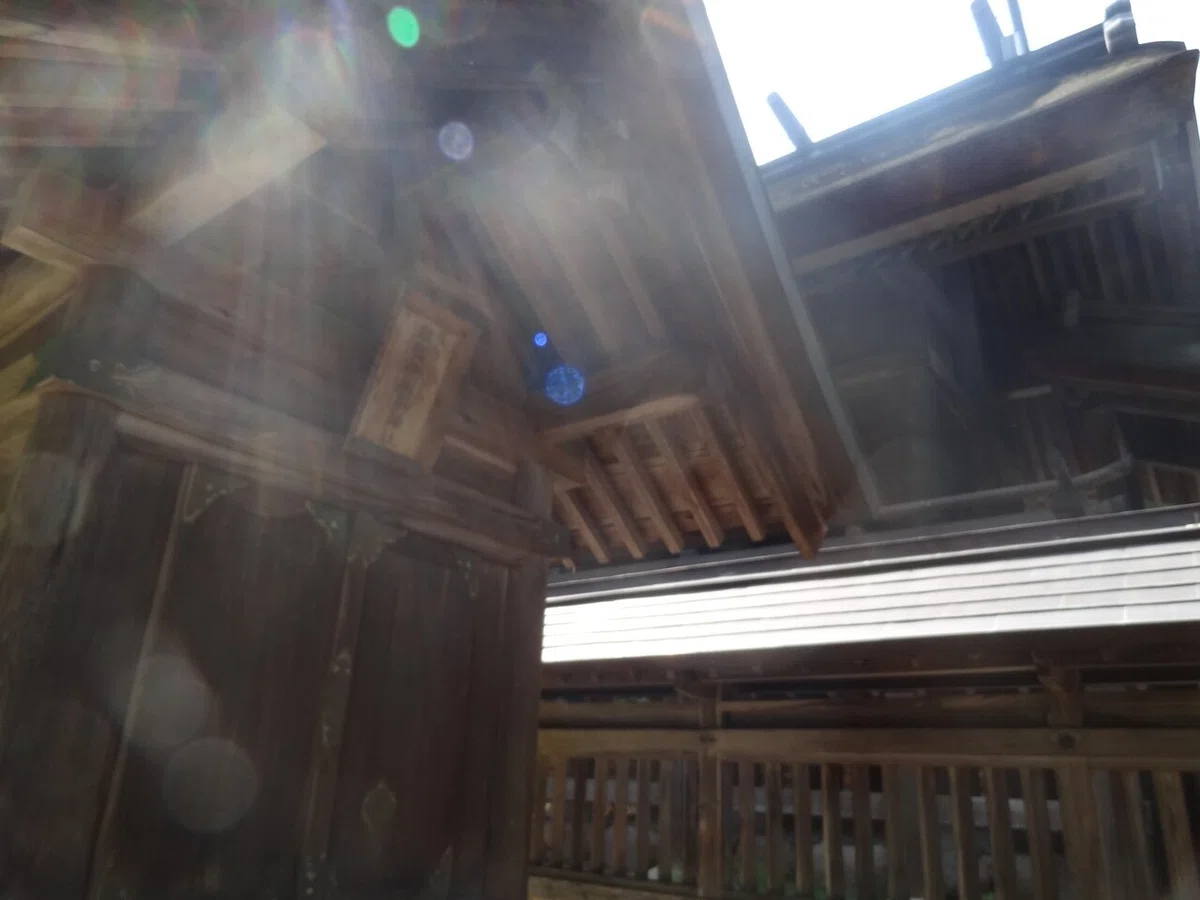 画像5