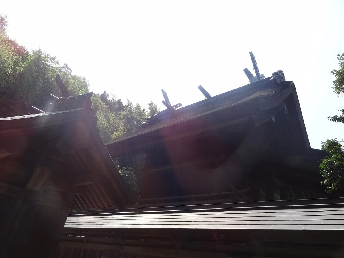 画像7