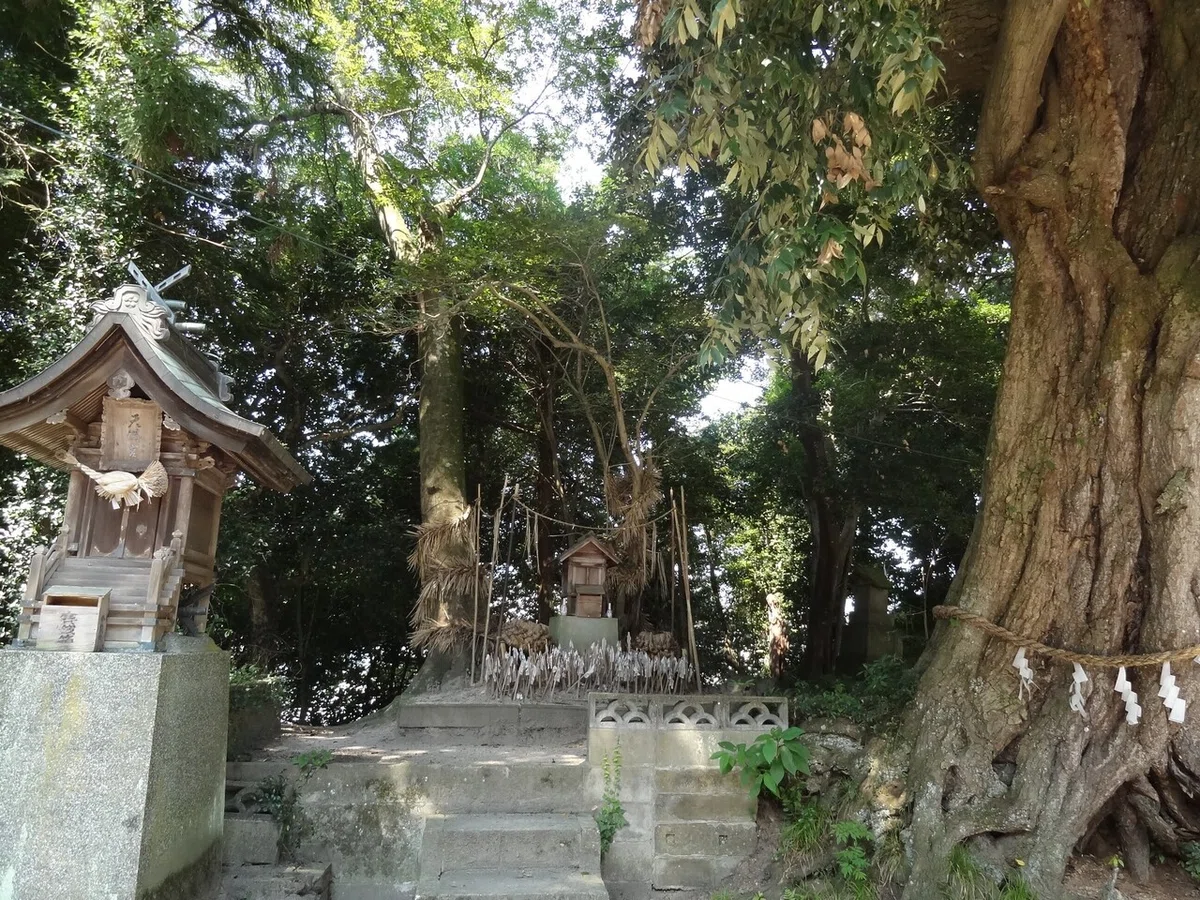 画像9