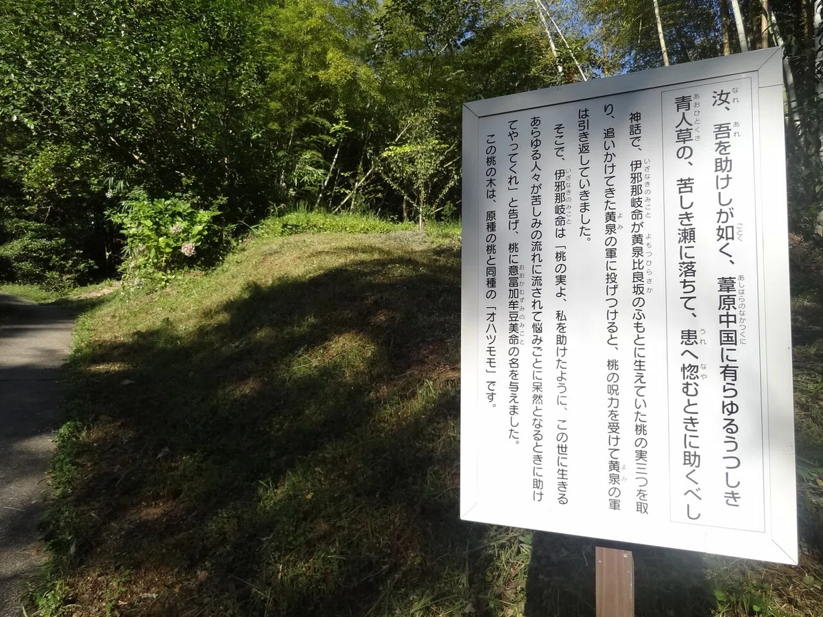 画像13