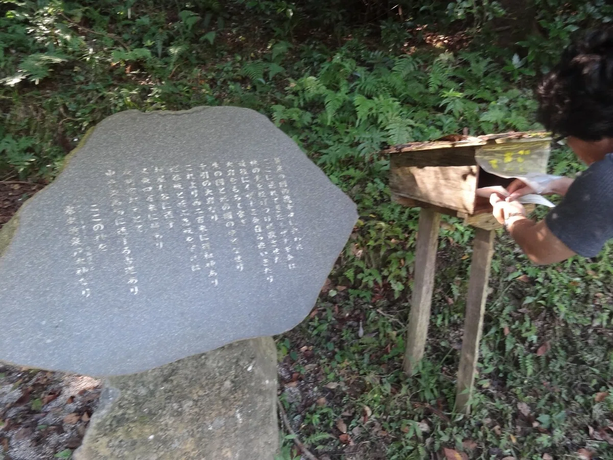 画像14