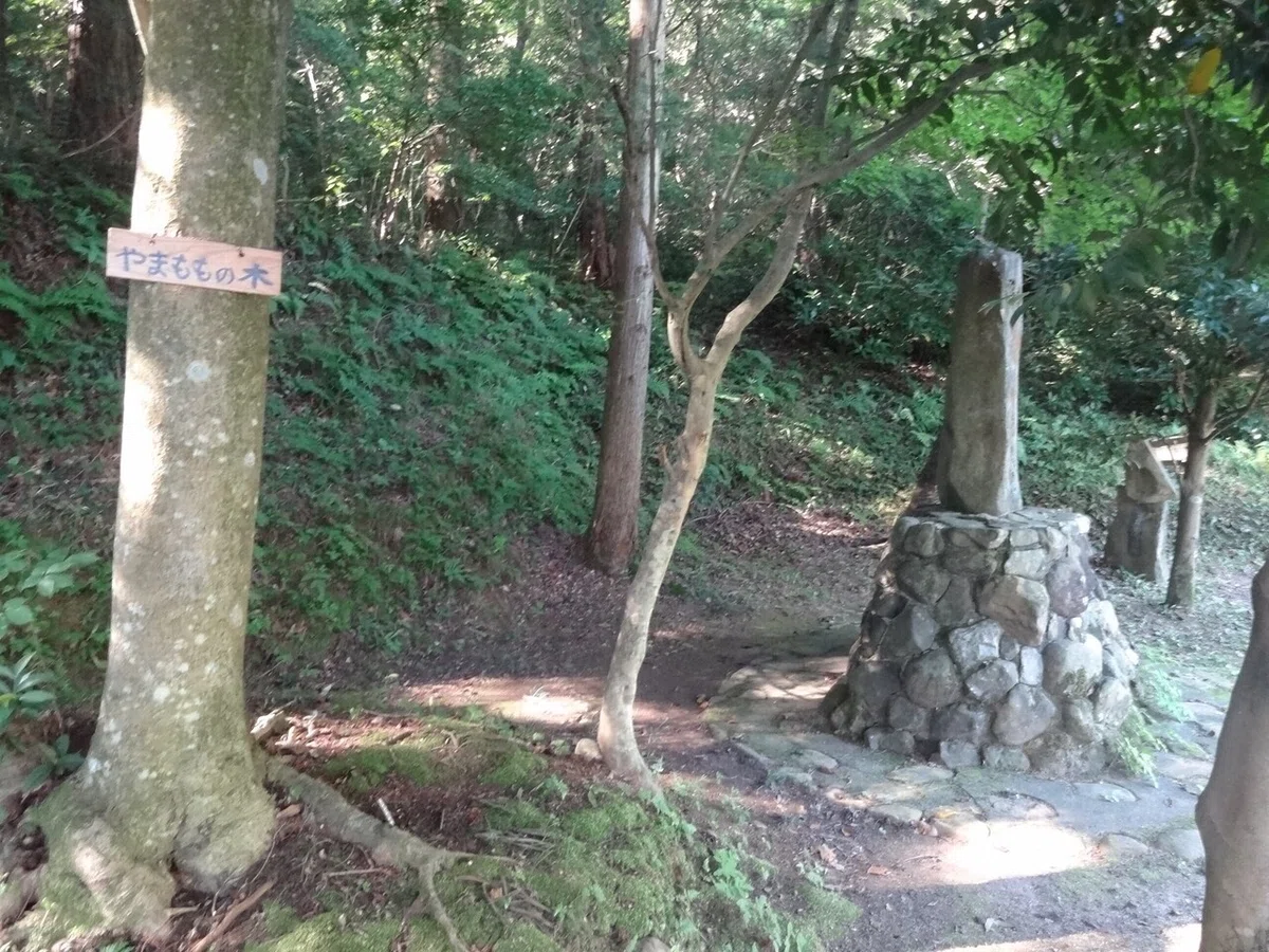 画像17