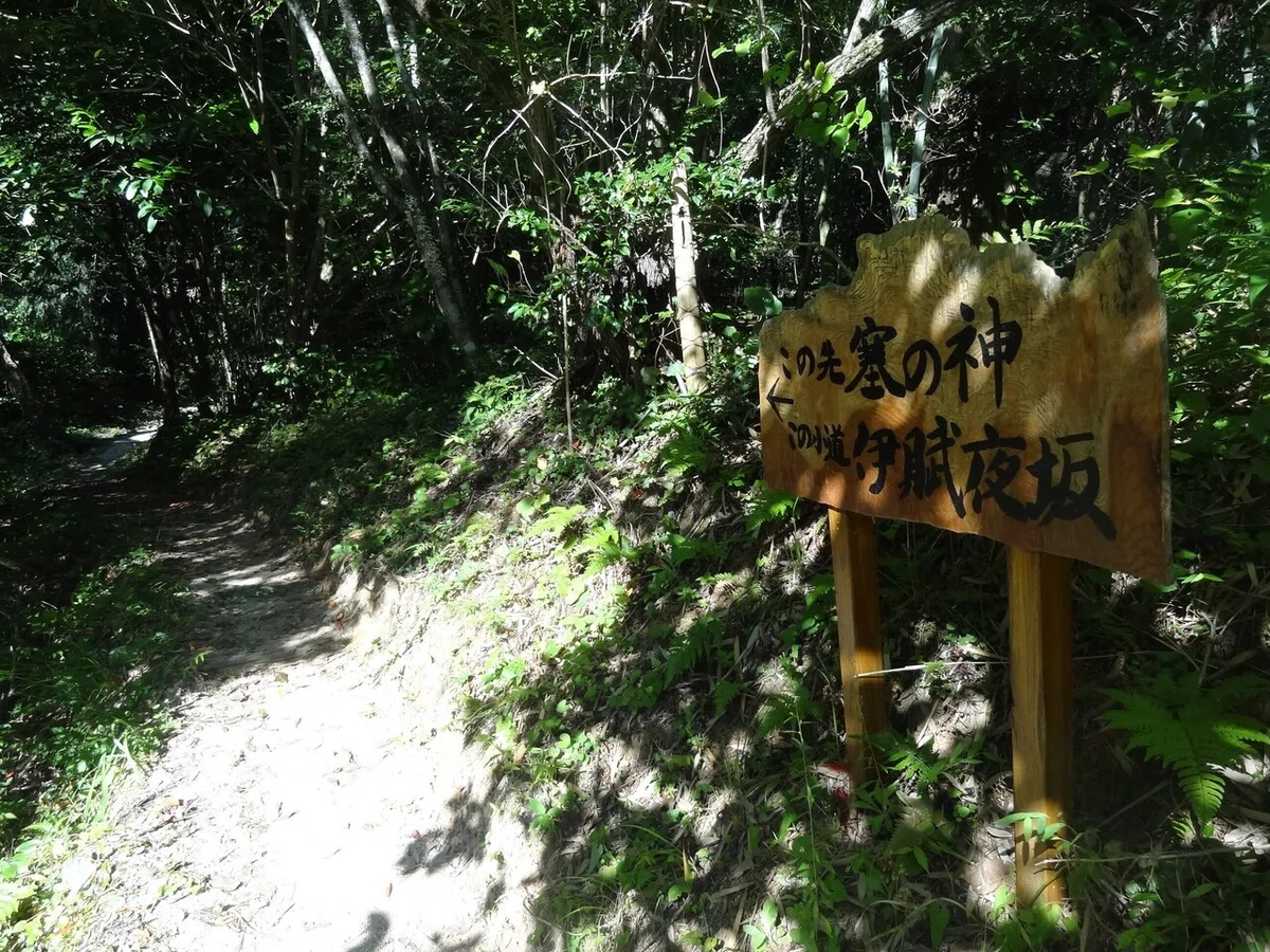 画像18