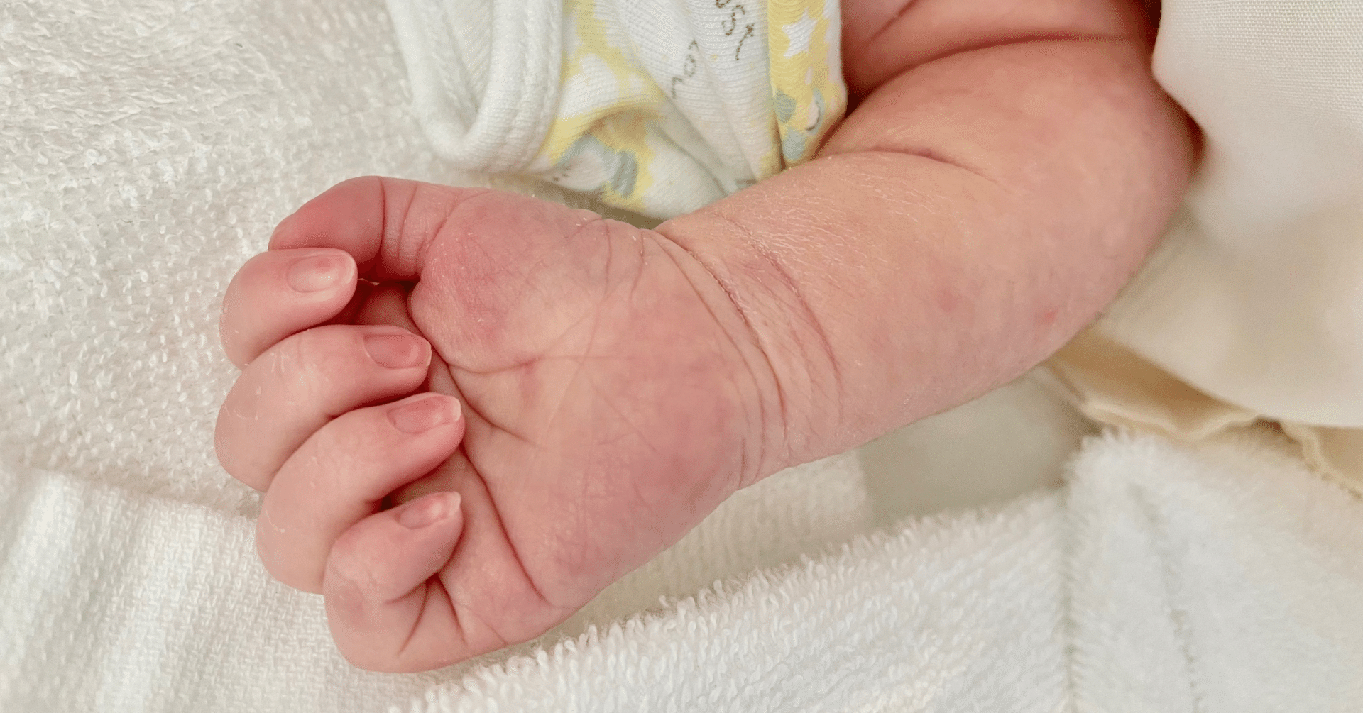 出産レポ 家族が増えました 妊娠37週 あやめし Note 出産レポ 家族が増えました 妊娠37週 あやめし Note