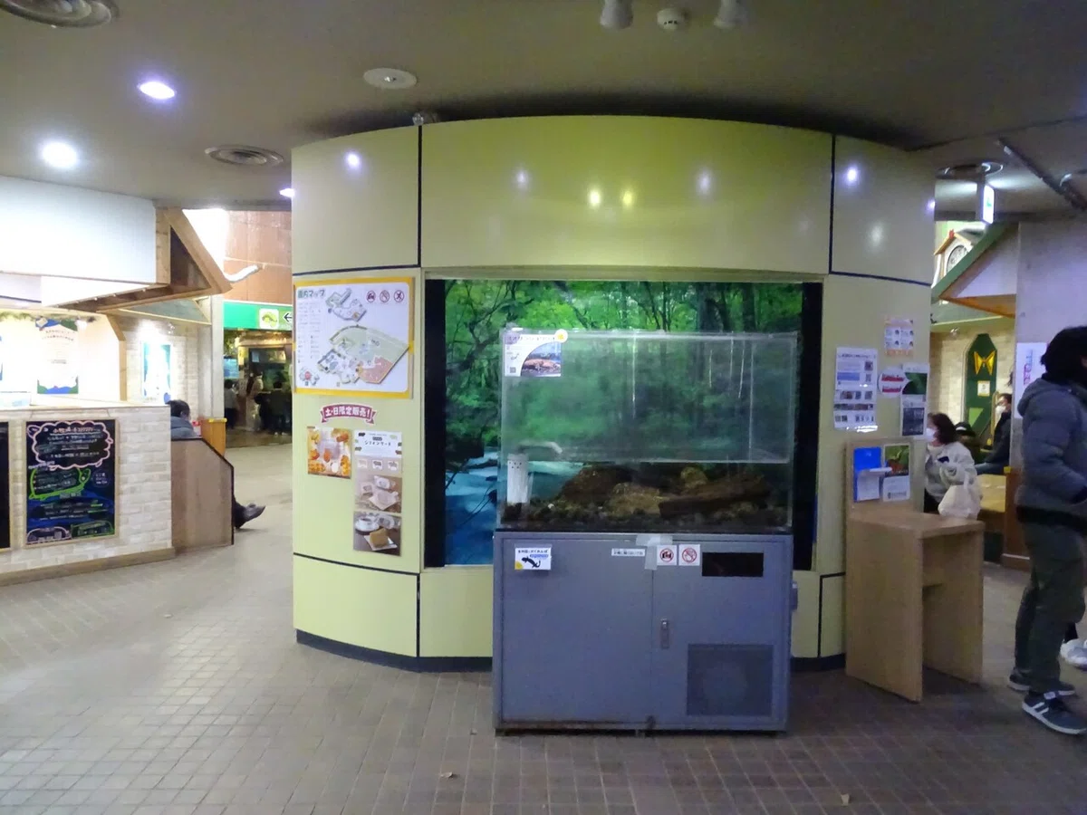 画像12