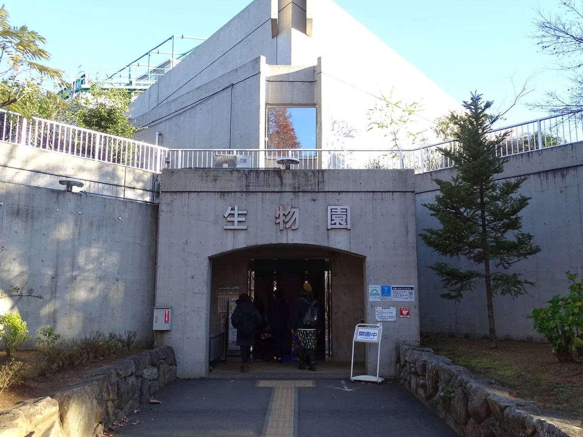 画像10