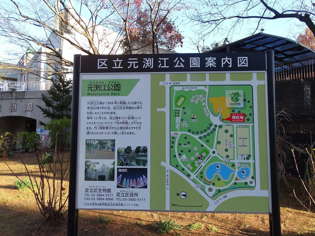 画像7