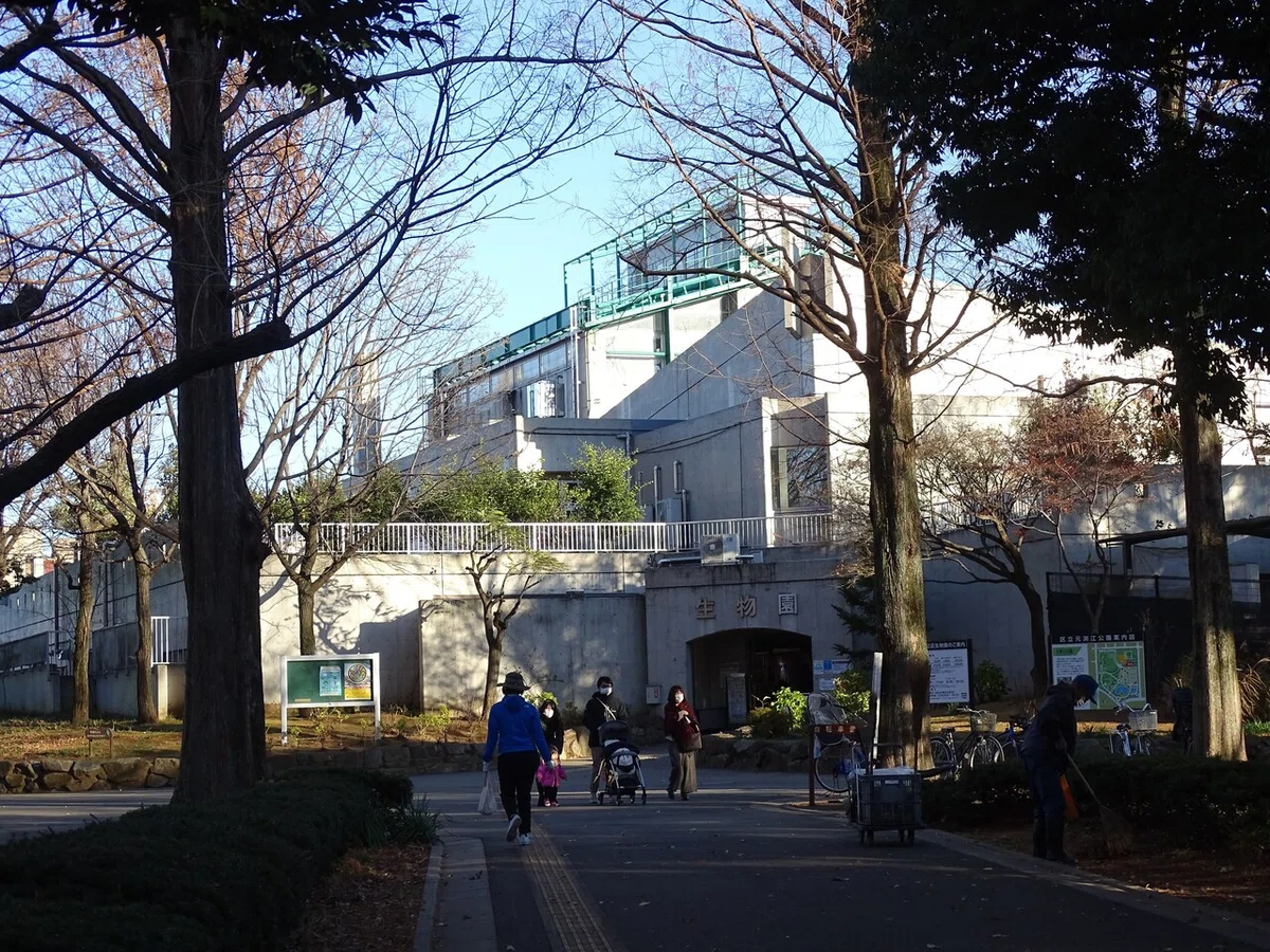 画像6