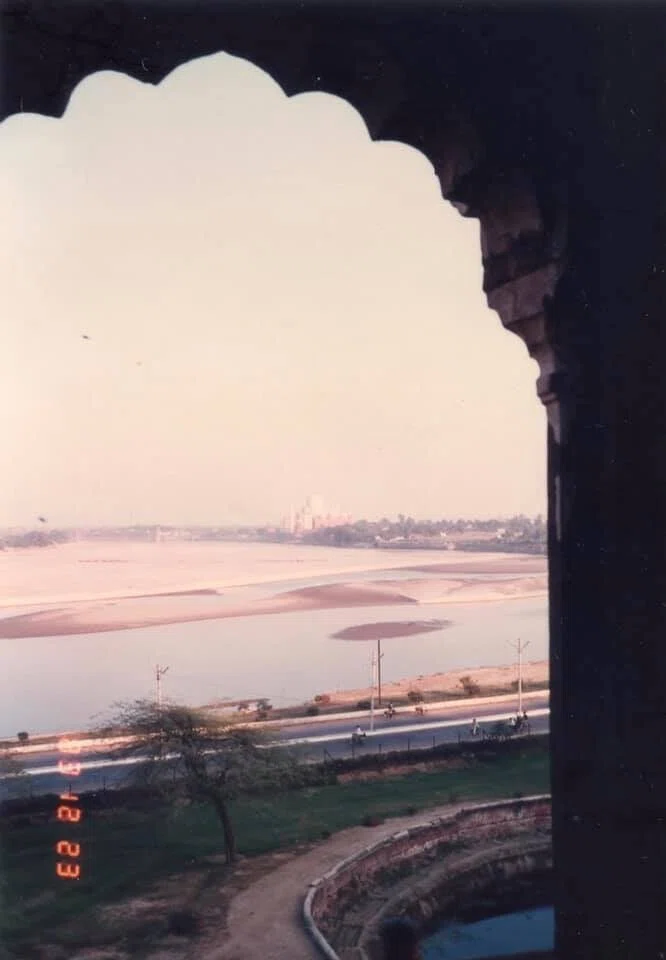 画像7