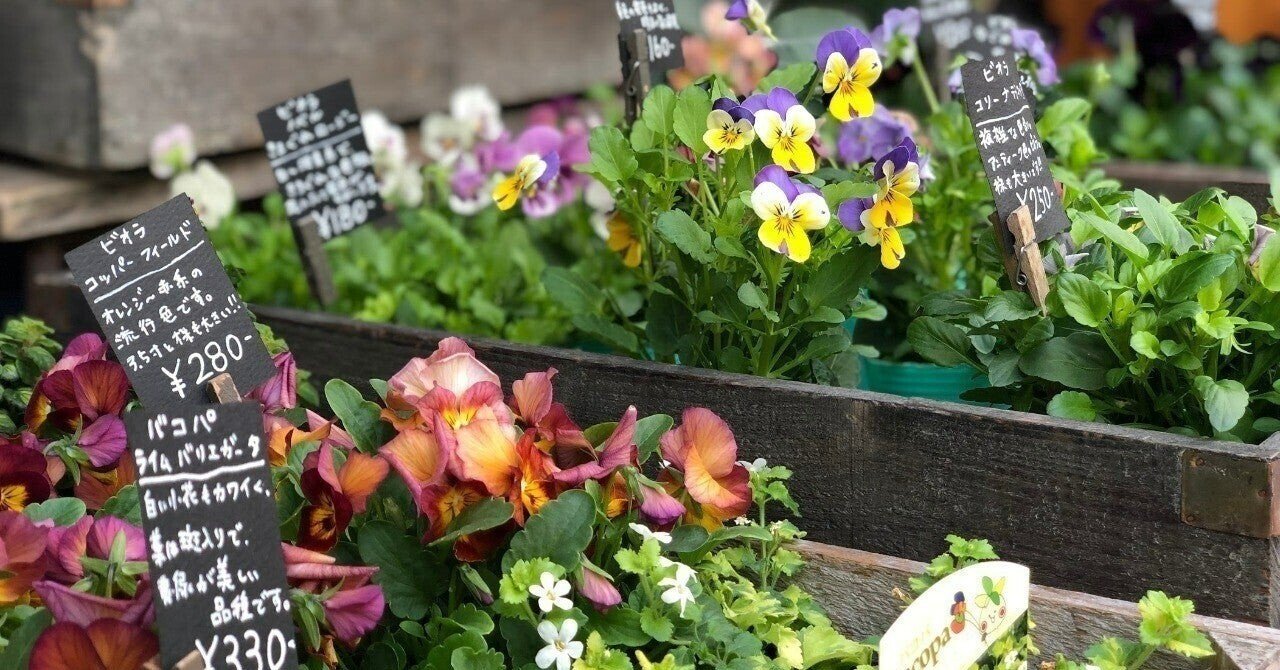 しんどいのは、やりたいことじゃないところで頑張っているから。｜mimoza1020｜note