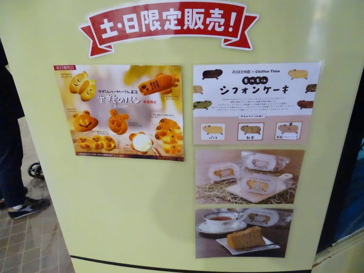画像22