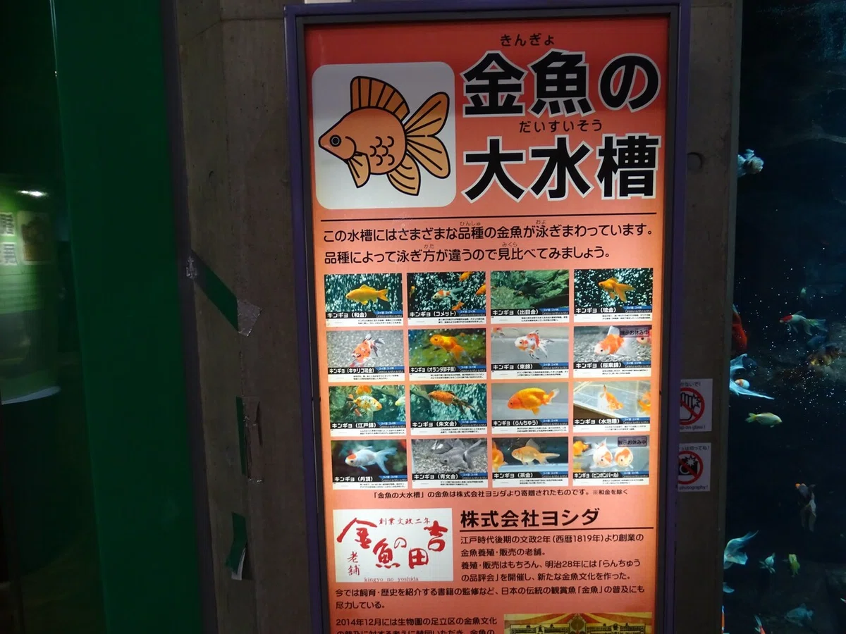 画像34