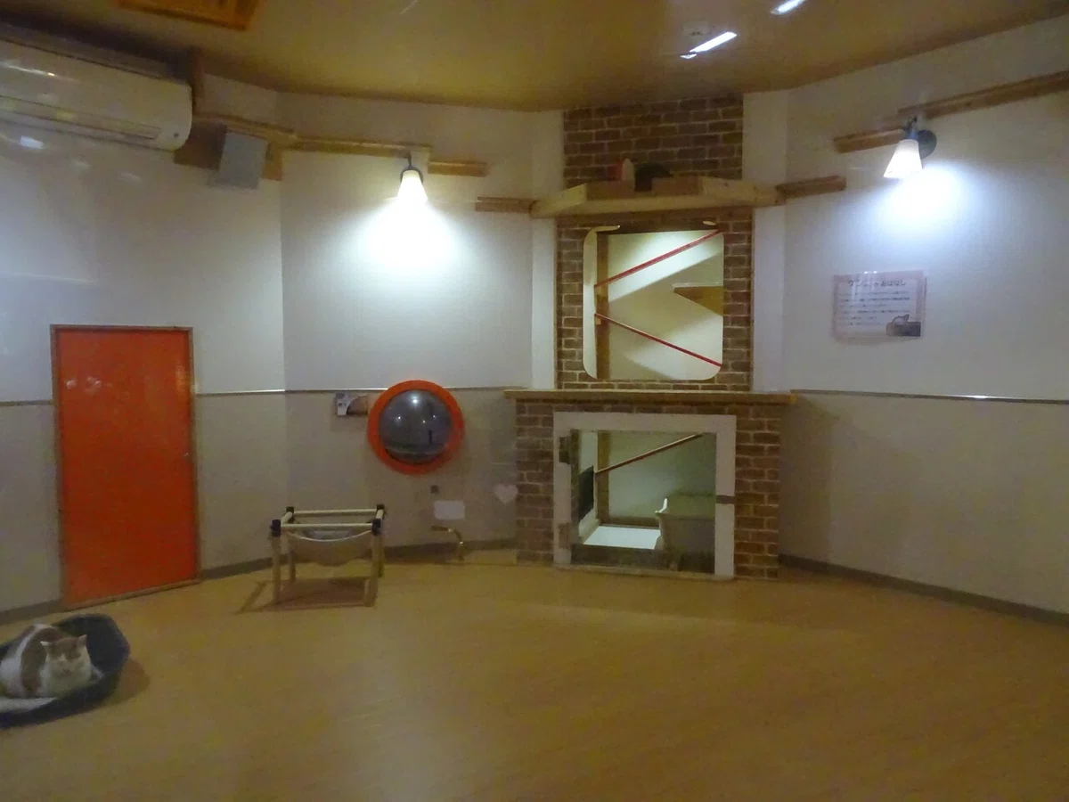 画像38
