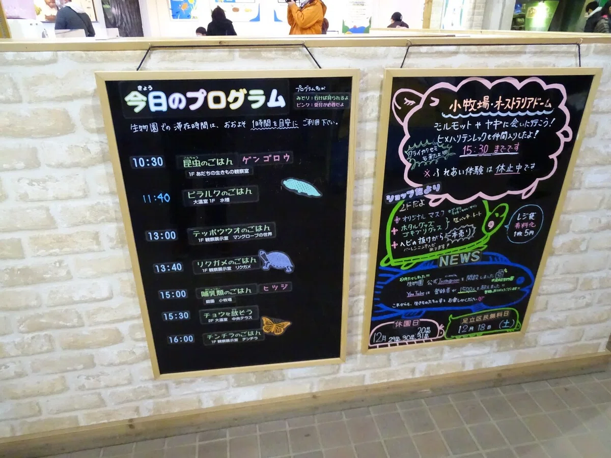 画像23