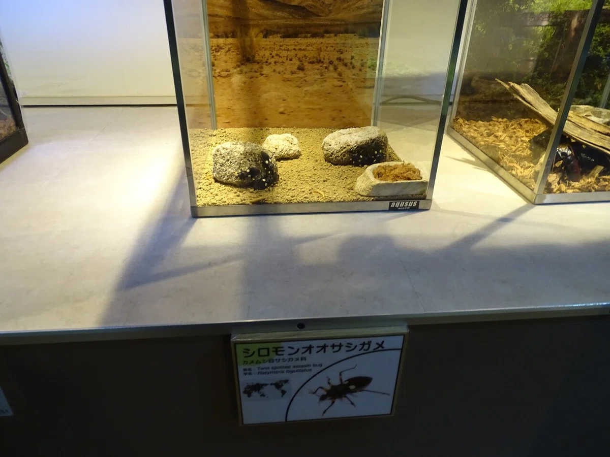 画像103