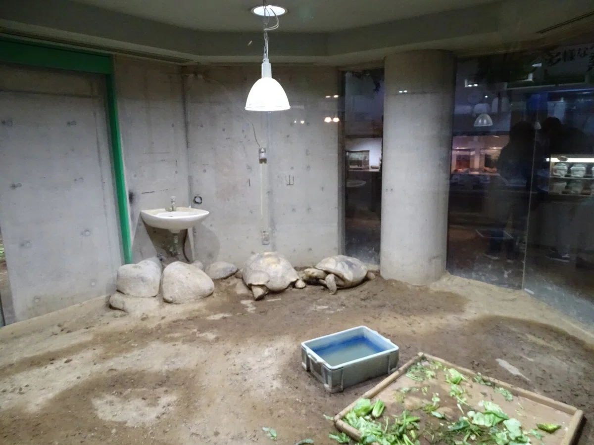 画像72