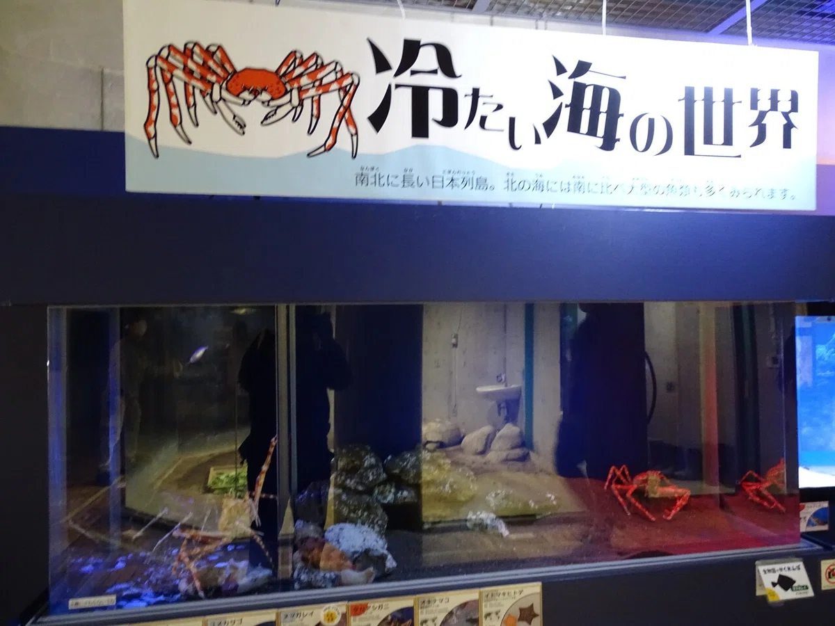 画像67