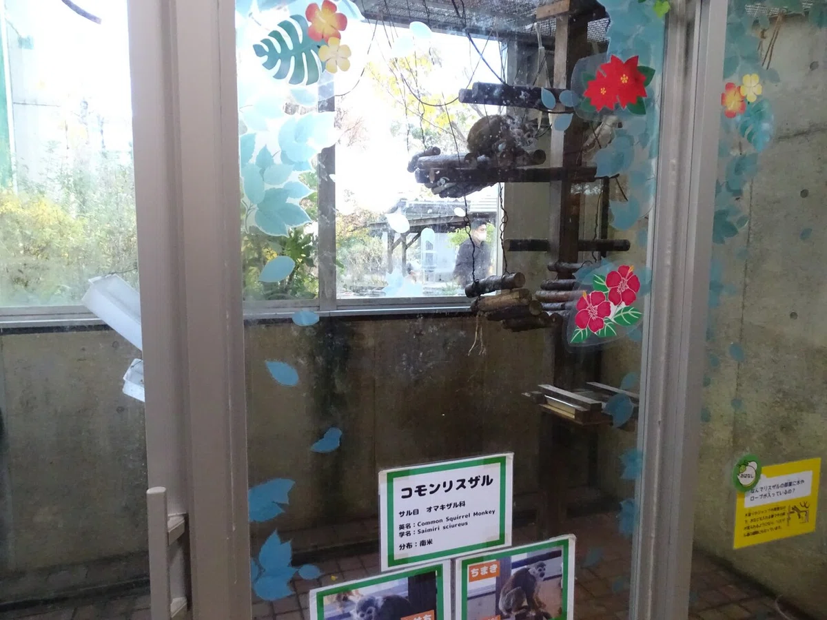画像42