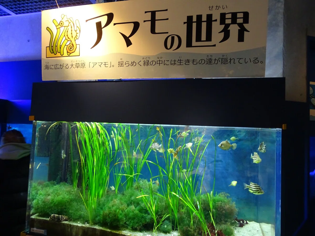 画像57