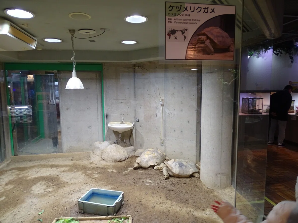 画像80