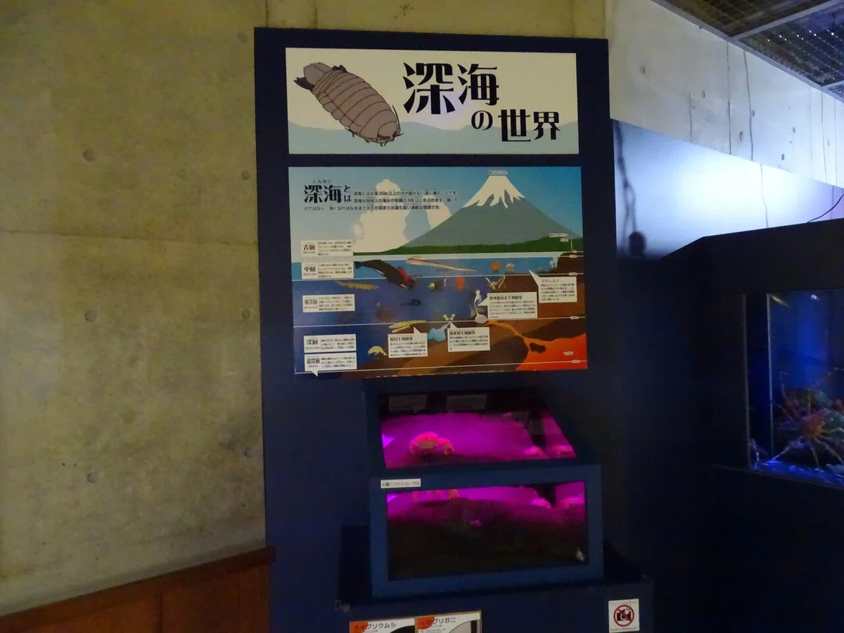 画像81