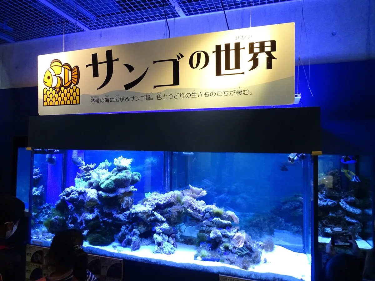 画像61